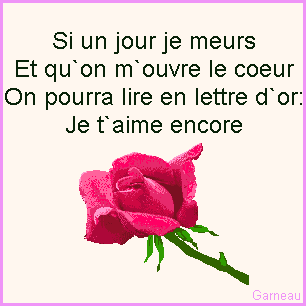 cmt c bon