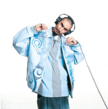 la fouine